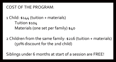 cost of program